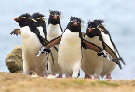 Creative 24bit cart 5w AA